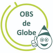 basis school de globe